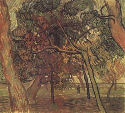Vincent Van Gogh Study of Pine Trees (nn04) China oil painting art